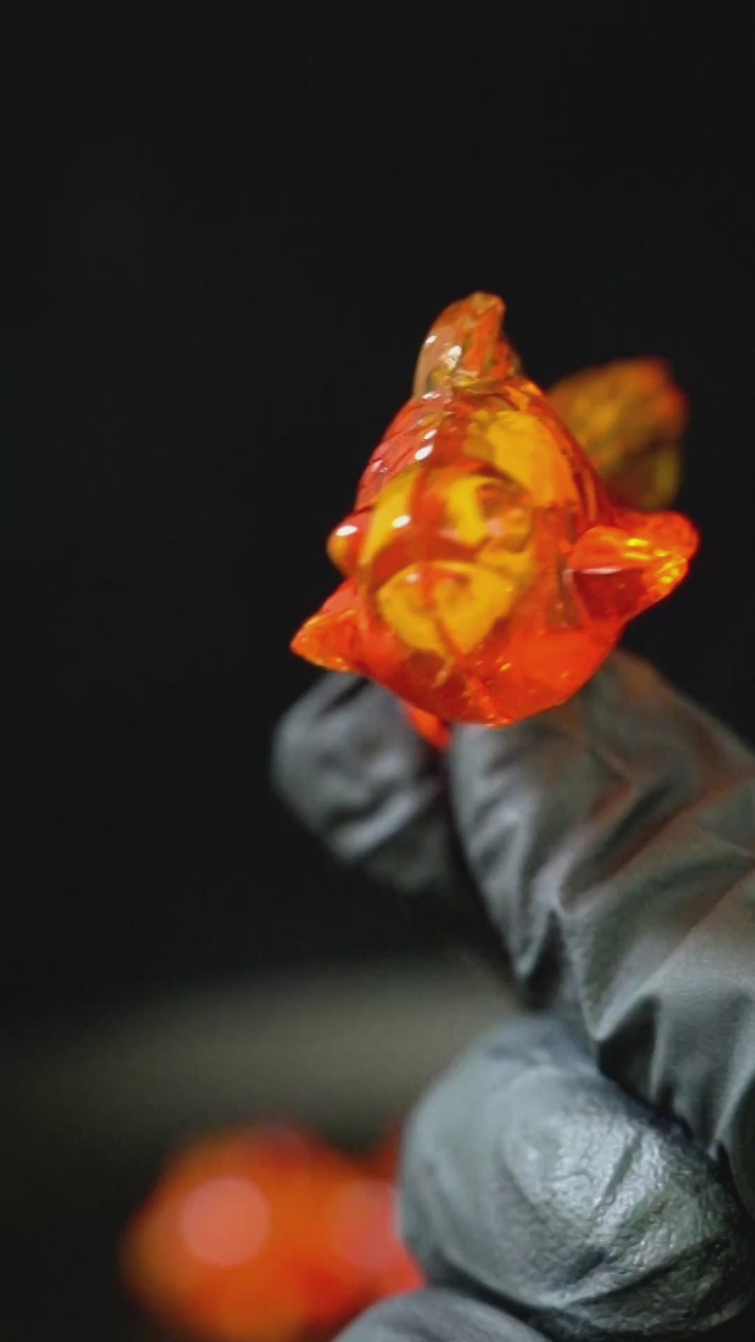 加载视频：金鱼4D软糖